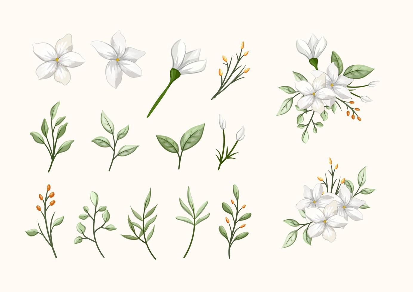jasmijn wit schoonheid bloem met bladeren reeks voor boeket voor bruiloft liefde romance vector