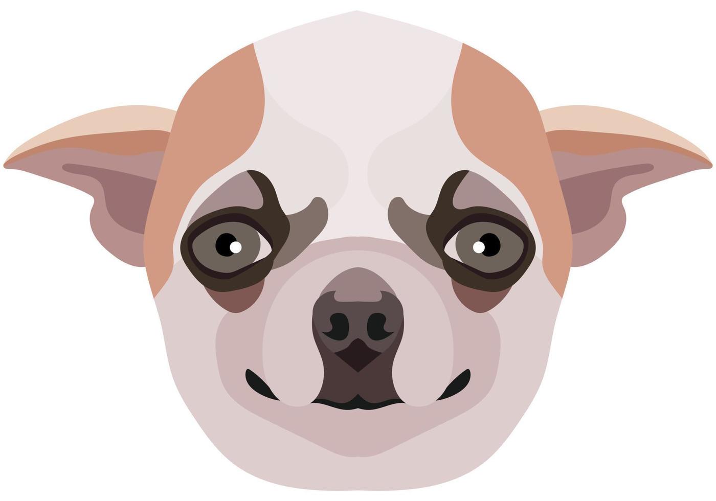 chihuahua gezicht. vector portret van een hond hoofd geïsoleerd Aan wit achtergrond.