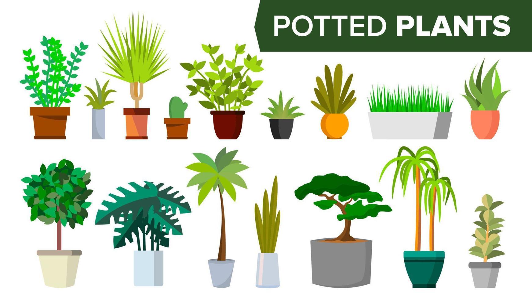 ingemaakt planten reeks vector. binnen- kantoor stijl kamerplanten. groen kleur planten in pot. verscheidene. bloemen interieur icoon. decoratie ontwerp element. geïsoleerd vlak illustratie 17377457 - Download Free Vectors, Vector Bestanden,