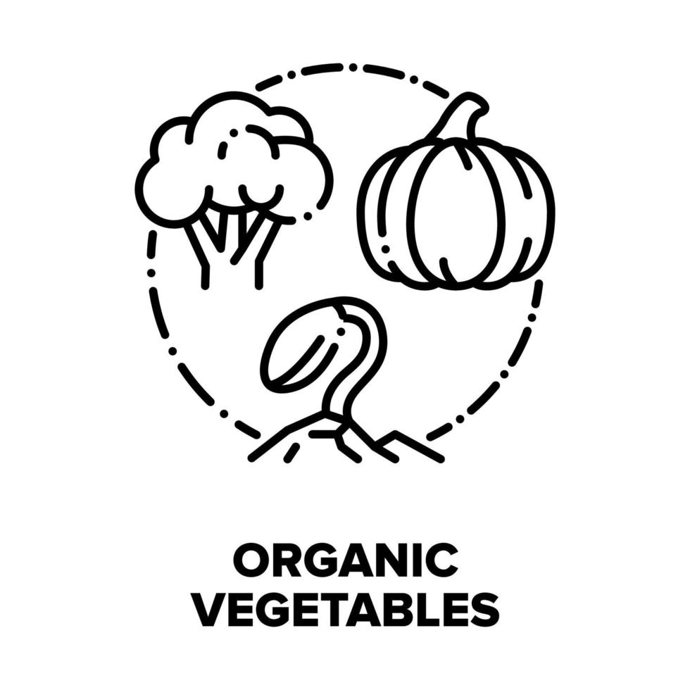 biologisch groenten bio voedsel vector concept zwart illustraties