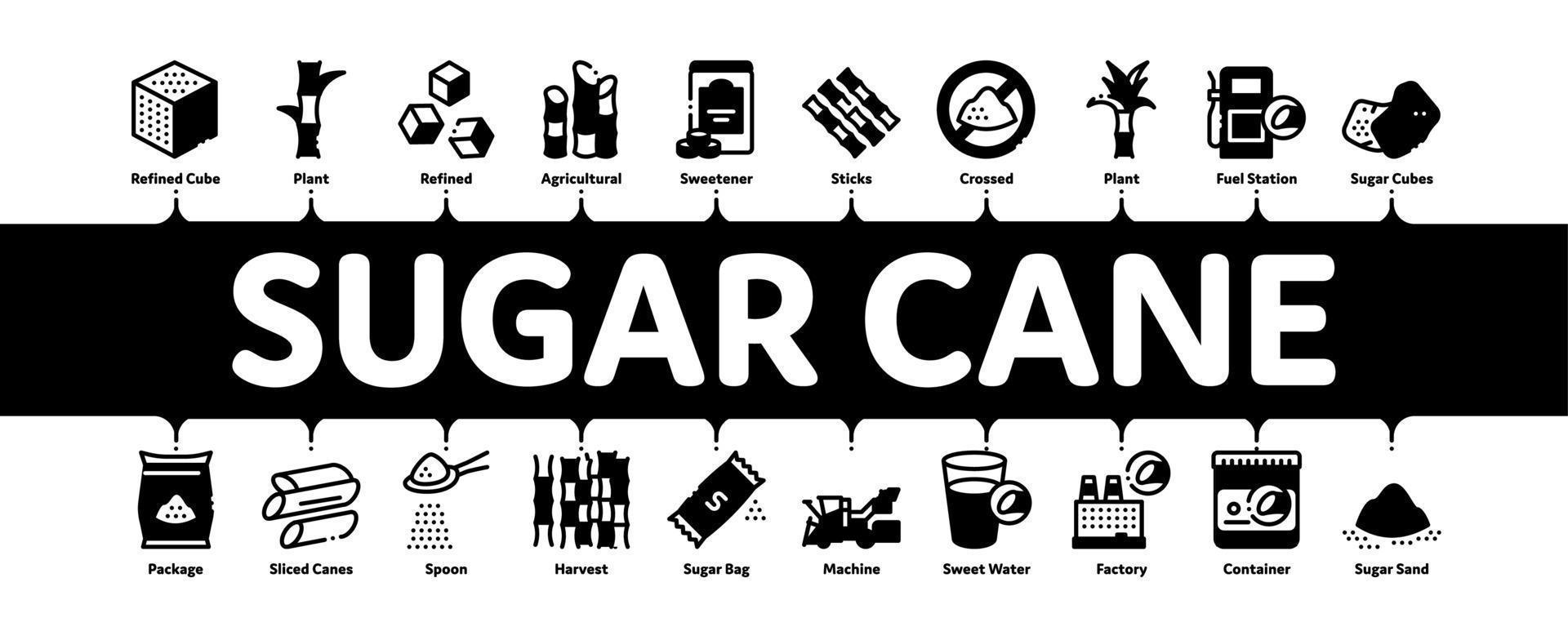 suiker riet minimaal infographic banier vector