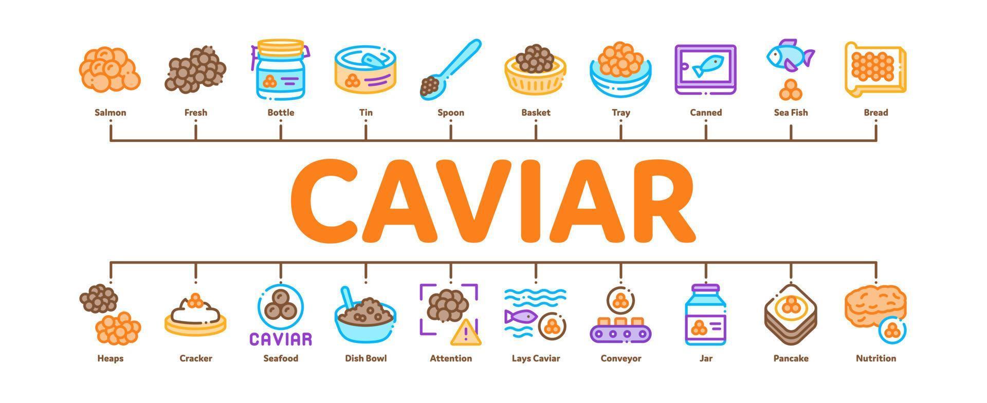 kaviaar zeevruchten Product minimaal infographic banier vector