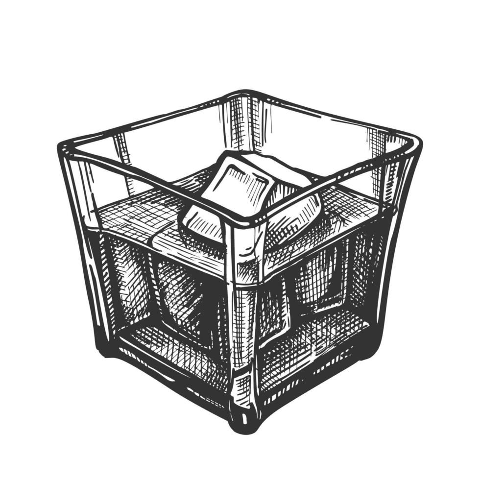 klassiek Iers whisky glas en ijs kubussen vector