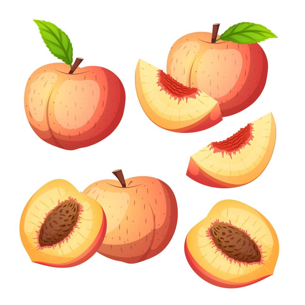 perzik fruit reeks tekenfilm vector