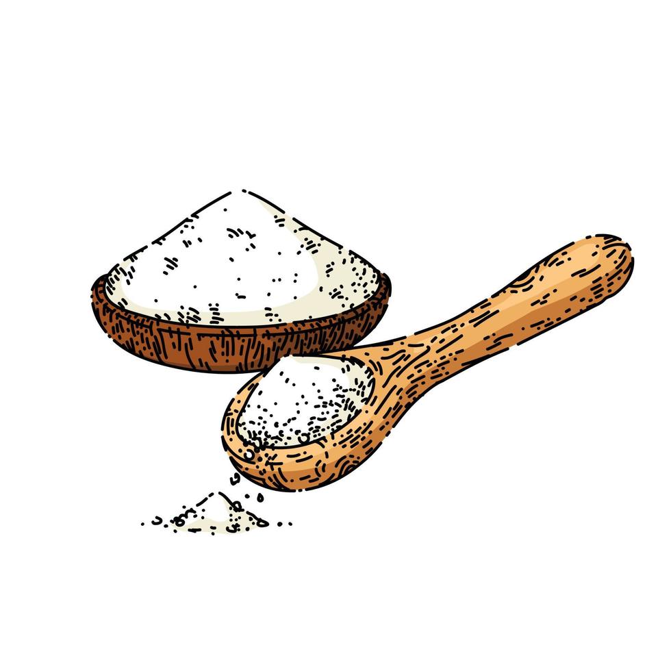zout in houten lepel schetsen hand- getrokken vector