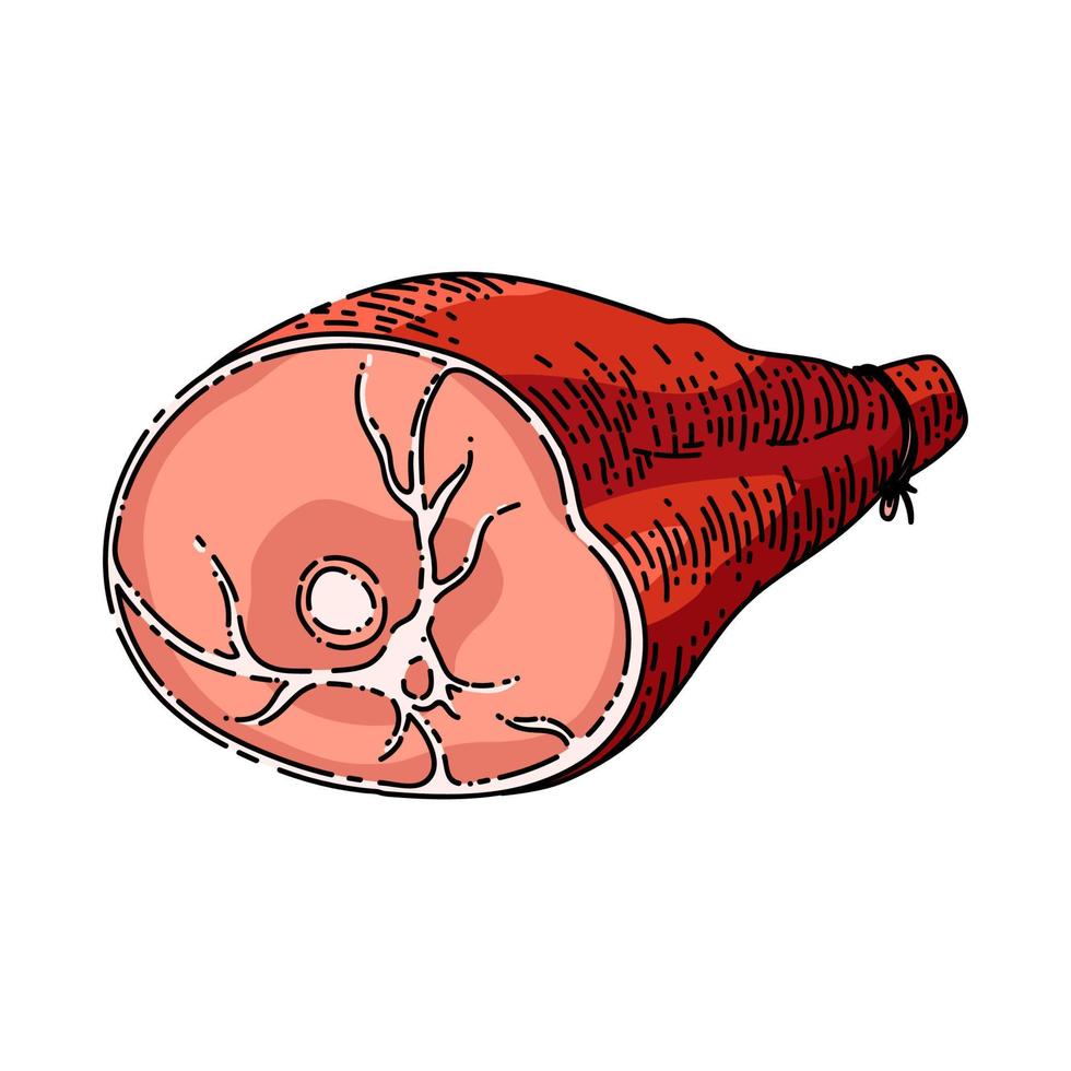 varkensvlees vlees schetsen hand- getrokken vector