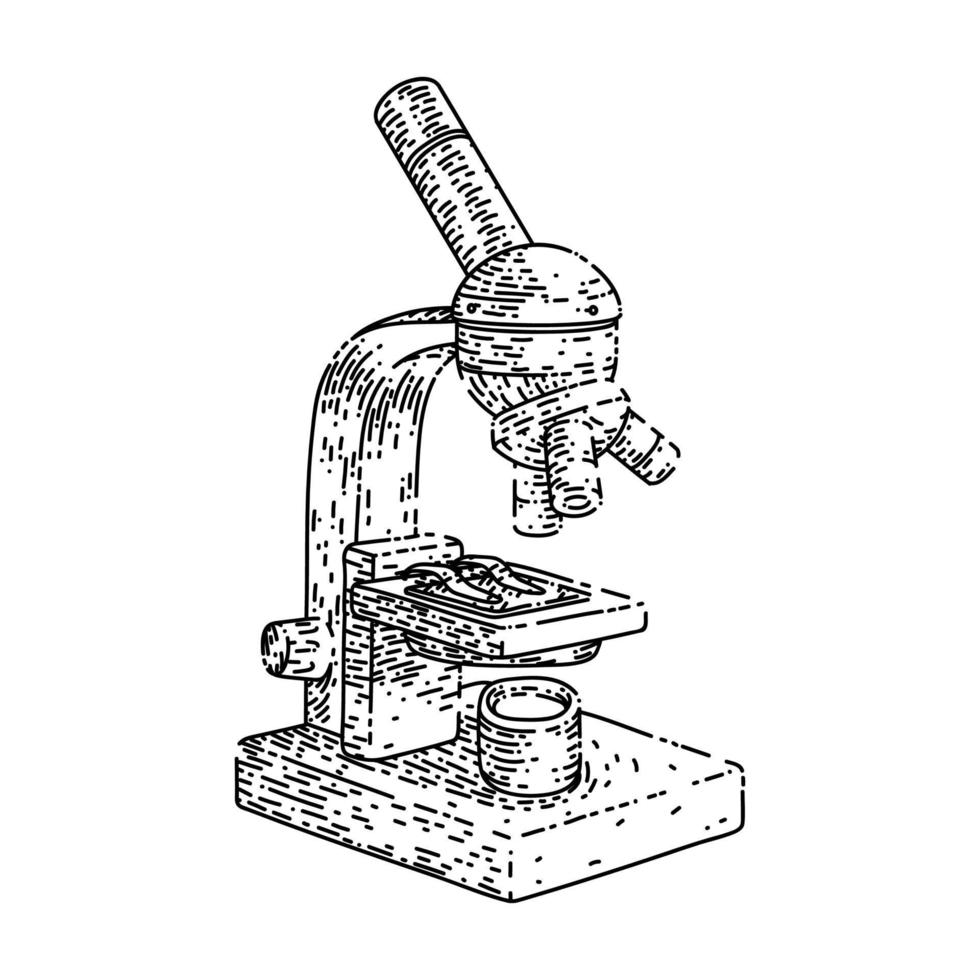 microscoop laboratorium schetsen hand- getrokken vector