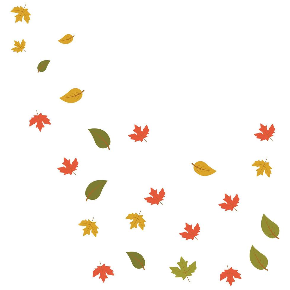 herfst esdoorn- vallend bladeren vector illustratie