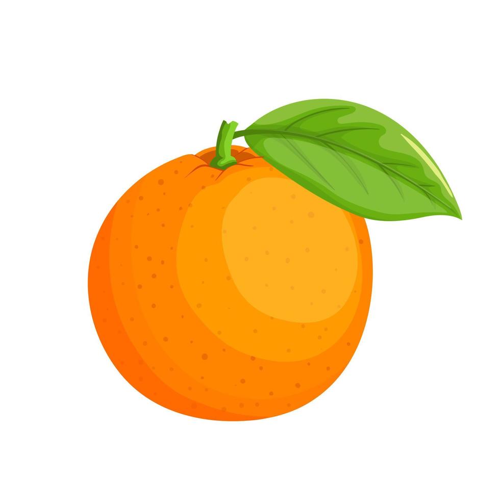 oranje citrus tekenfilm vector illustratie