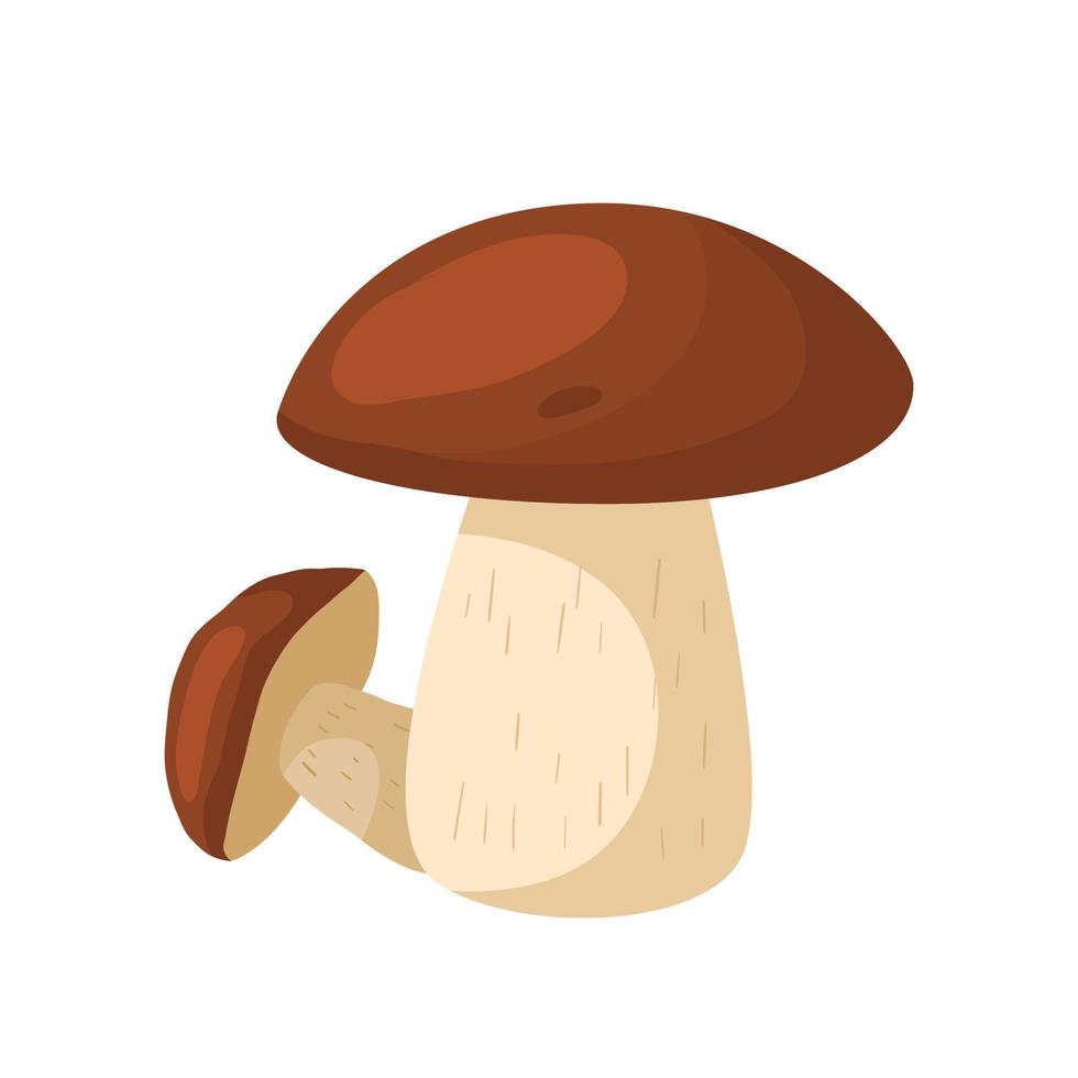 porcini paddestoel tekenfilm vector