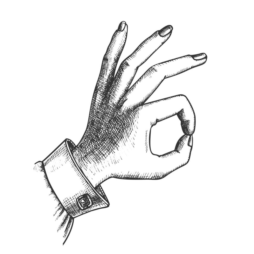 vrouw hand- gebaar OK mee eens goedkeuring teken vector