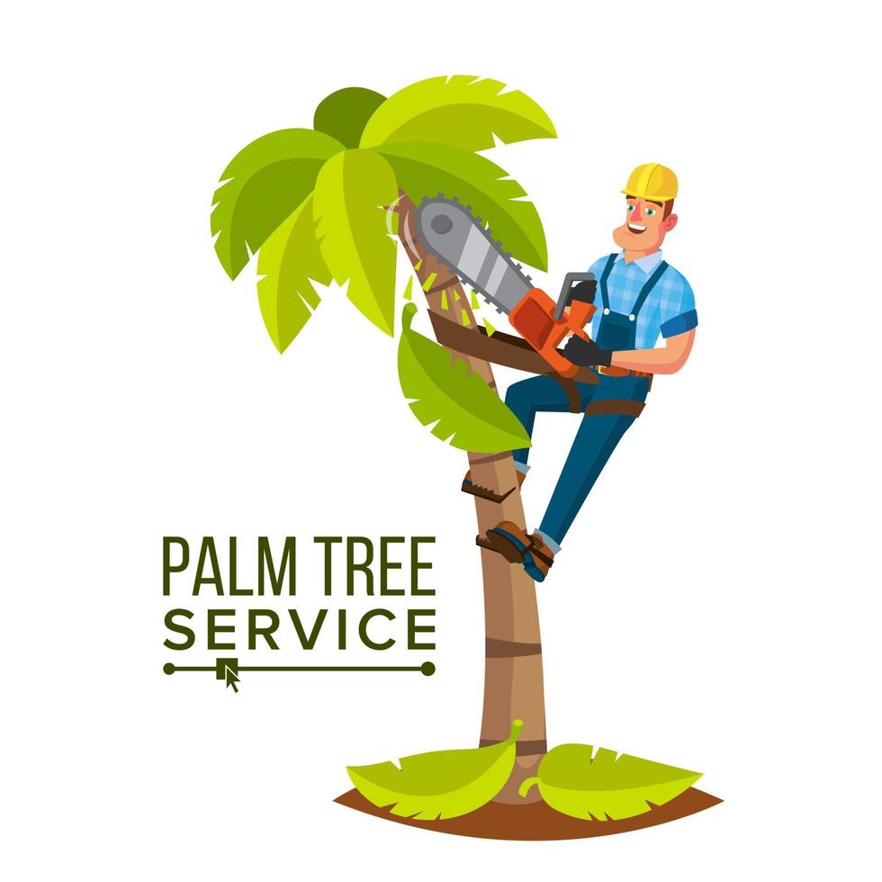 palm boom onderhoud vector. professioneel Mens. trimmen boom of verwijdering naar boom snoeien. geïsoleerd vlak tekenfilm karakter illustratie vector