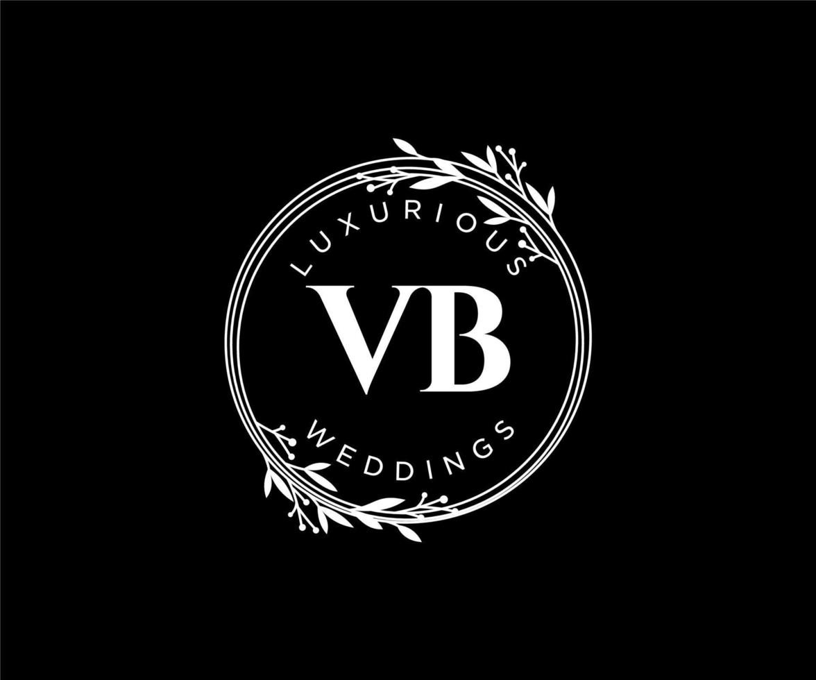 vb initialen brief bruiloft monogram logos sjabloon, hand- getrokken modern minimalistisch en bloemen Sjablonen voor uitnodiging kaarten, opslaan de datum, elegant identiteit. vector