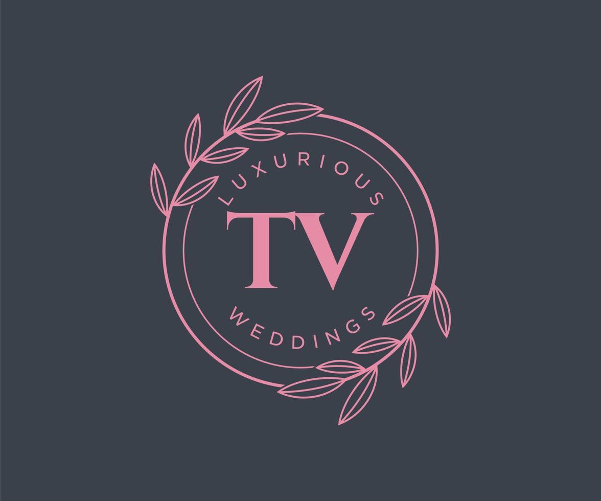 TV initialen brief bruiloft monogram logos sjabloon, hand- getrokken modern minimalistisch en bloemen Sjablonen voor uitnodiging kaarten, opslaan de datum, elegant identiteit. vector