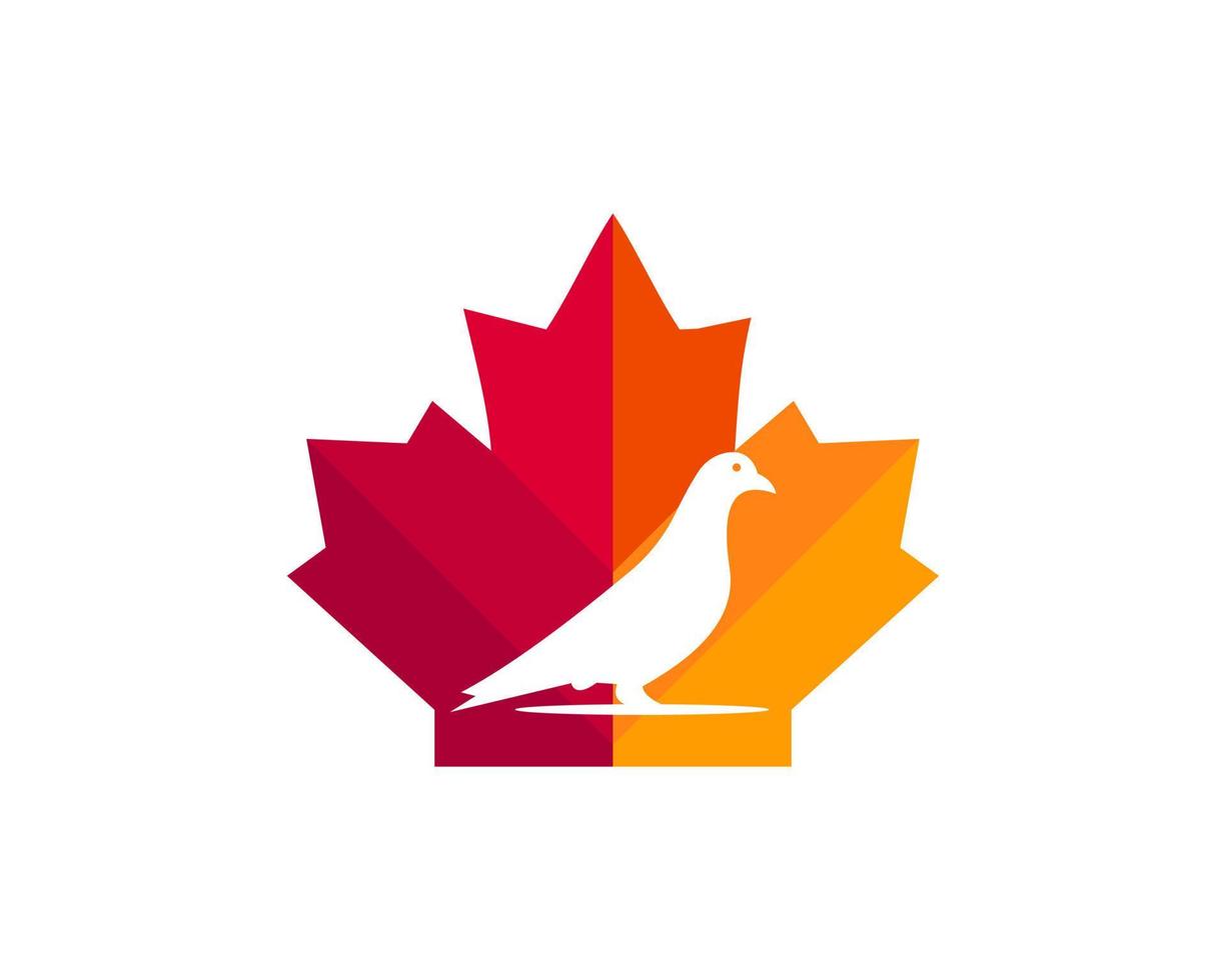 esdoorn- duif logo ontwerp. Canadees duif logo. rood esdoorn- blad met duif vector