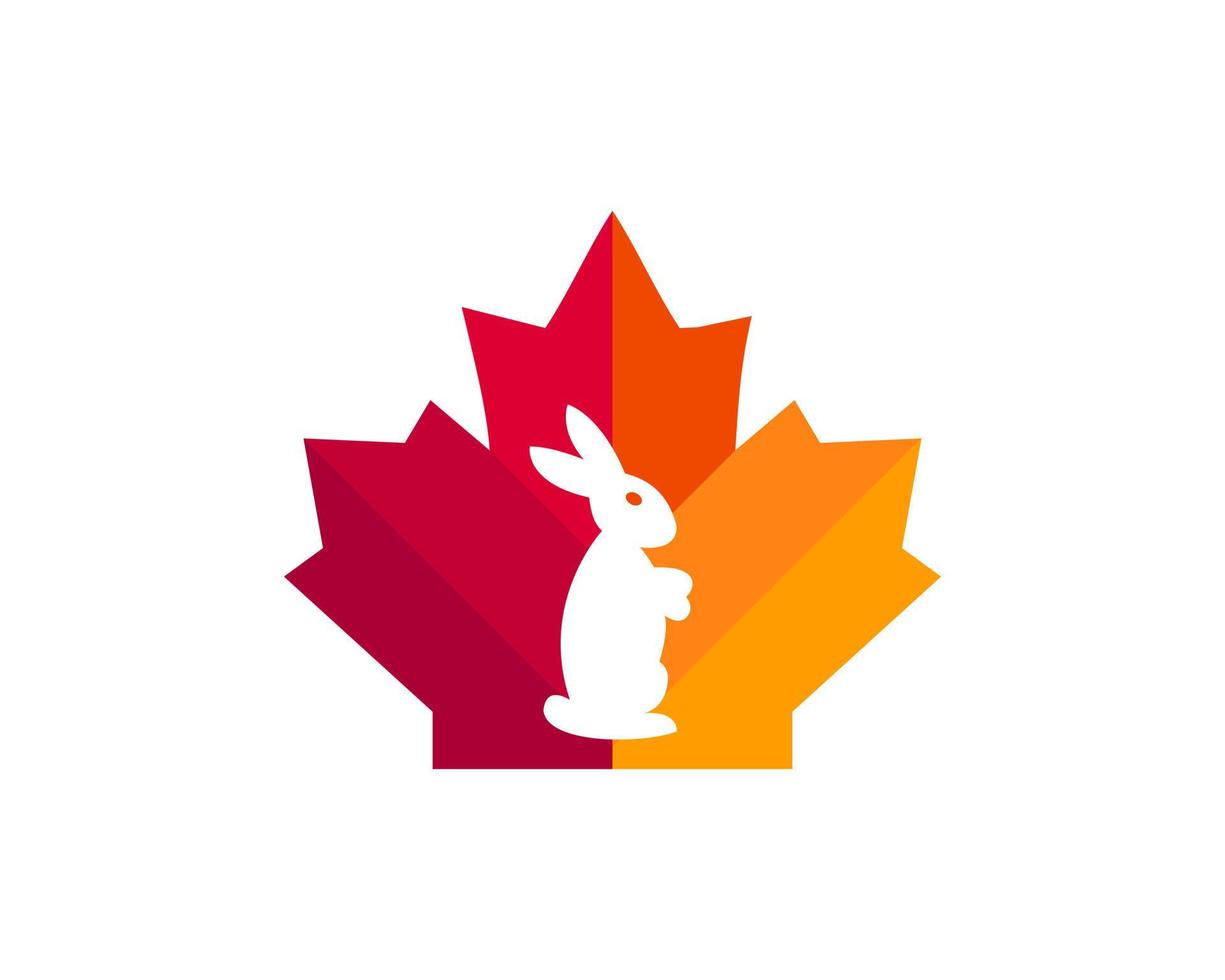 esdoorn- konijn logo ontwerp. Canadees konijn logo. rood esdoorn- blad met konijn vector