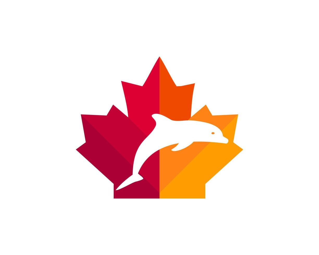esdoorn- dolfijn logo ontwerp. Canadees dolfijn logo. rood esdoorn- blad met dolfijn vector