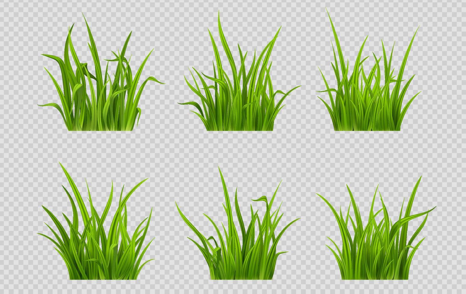 realistisch groen gras patches Aan grijs achtergrond vector