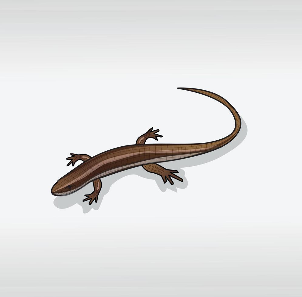 bruin skink, Aan een wit achtergrond vector