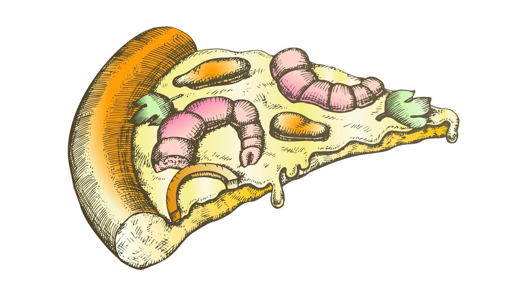 kleur zeevruchten Italiaans plak pizza hand- getrokken vector