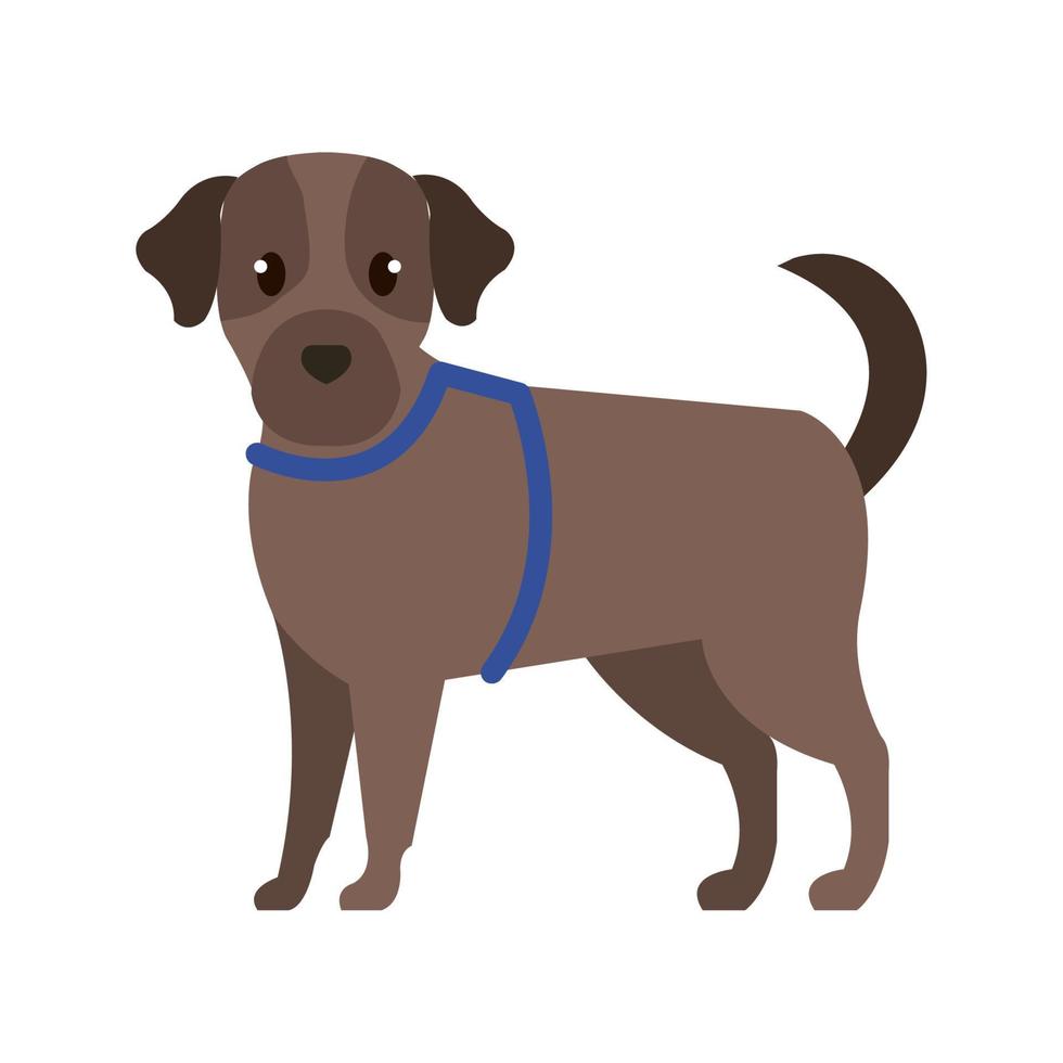 schattig hond bruin kleur geïsoleerd icoon vector