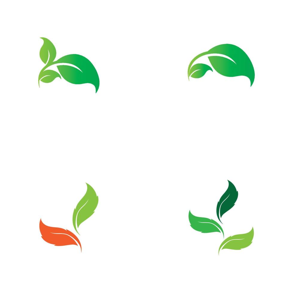 boom blad vector logo ontwerp, eco vriendelijk concept