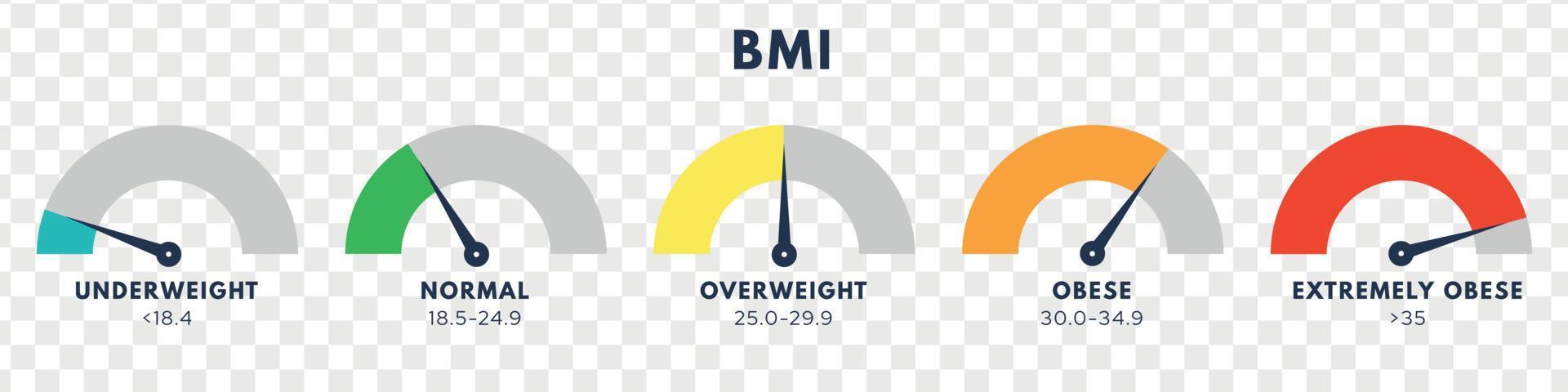 lichaam massa inhoudsopgave of massa inhoudsopgave schaal. types van bmi.gewicht verlies concept. vector geïsoleerd illustratie