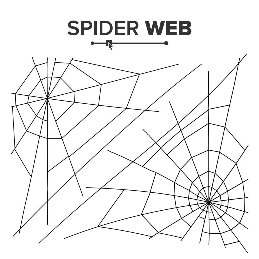 halloween spin web vector. zwart spin web geïsoleerd Aan wit. voor halloween ontwerp vector