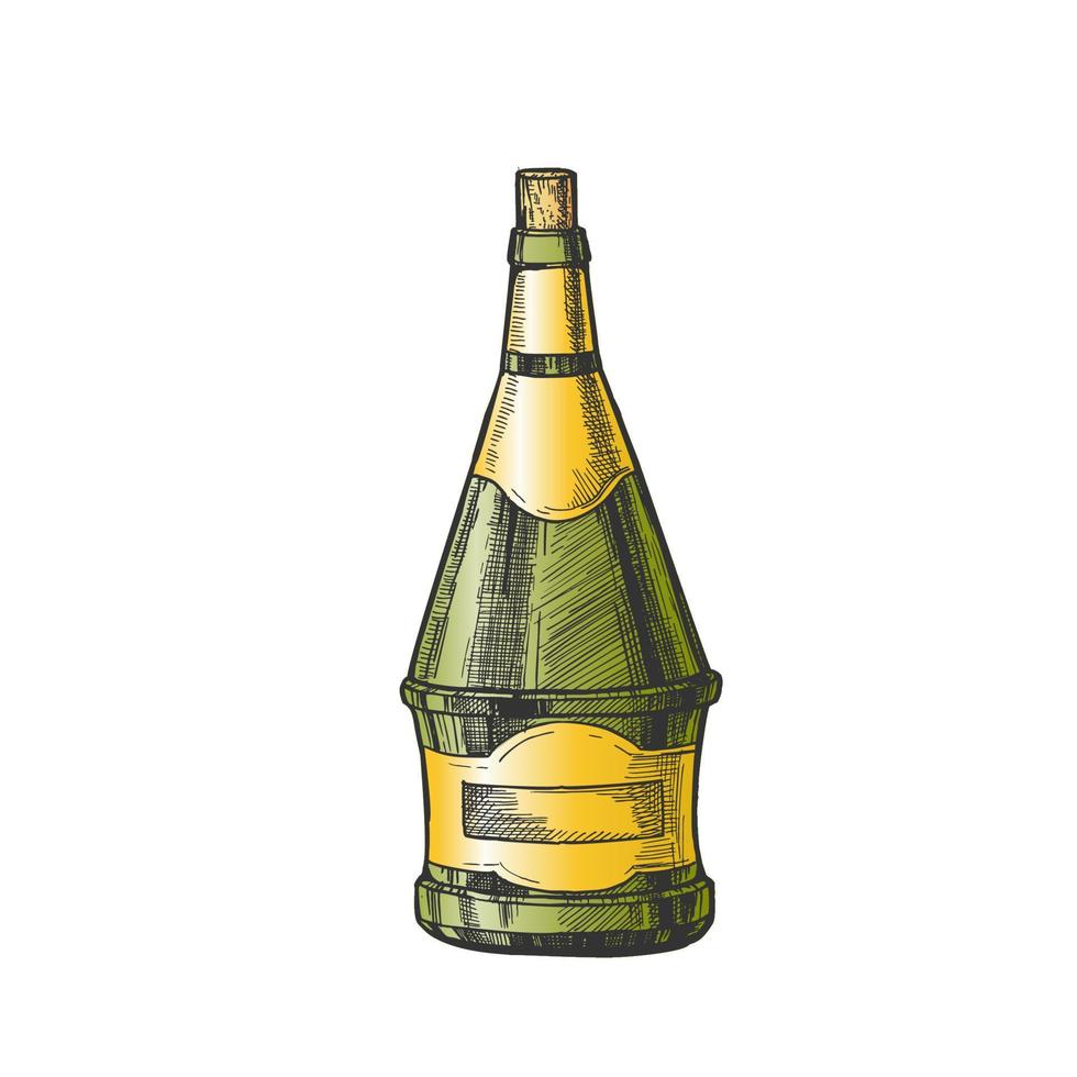 conisch hand- getrokken kleur fles van wijn vector