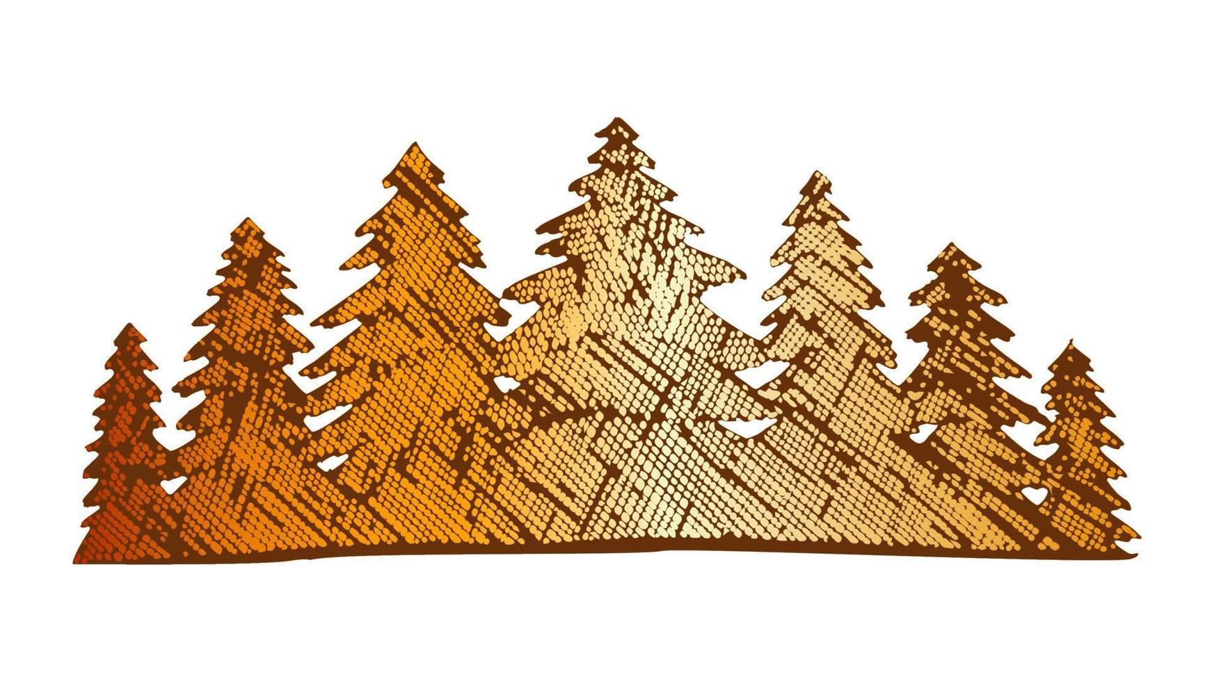 kleur getrokken landschap pijnboomgaard naald- Woud vector