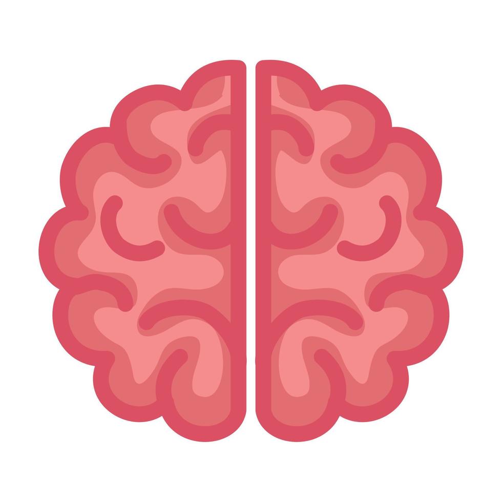 neurologie, hersenen menselijk Aan wit achtergrond vector