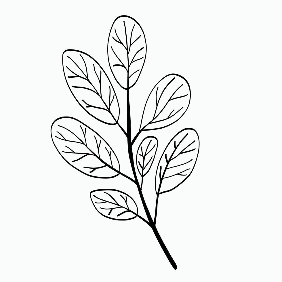 eenvoud bloemen uit de vrije hand tekening vlak ontwerp. vector