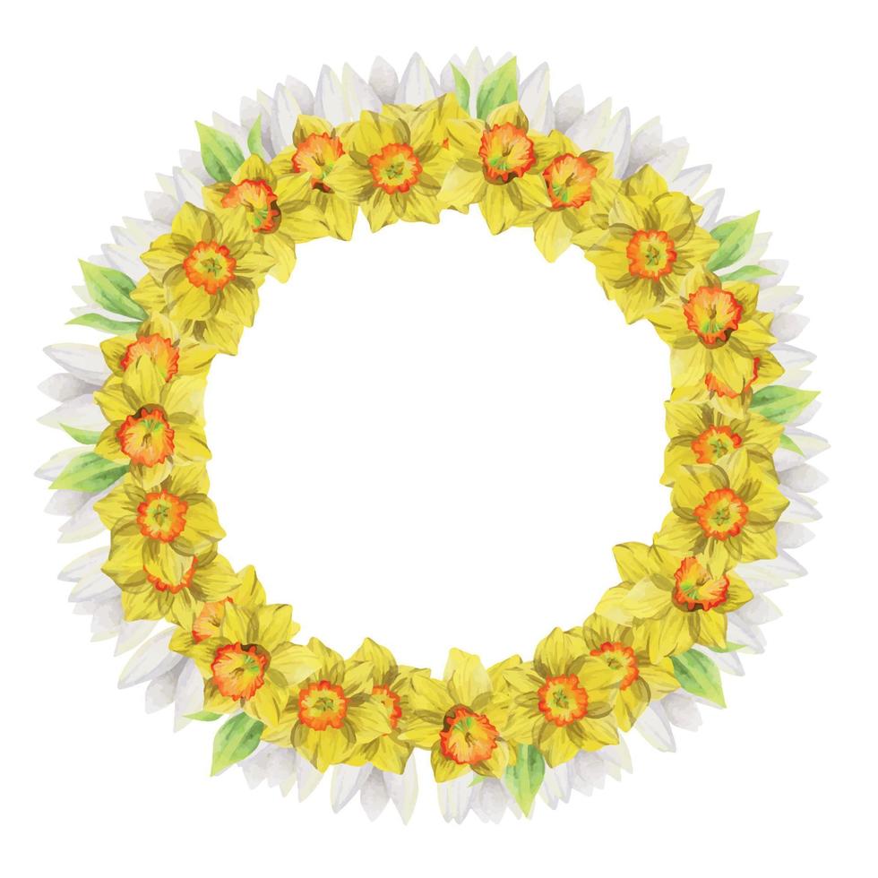 waterverf hand- getrokken cirkel krans met voorjaar bloemen, narcissen, krokus, sneeuwklokjes, bladeren. geïsoleerd Aan wit achtergrond. ontwerp voor uitnodigingen, bruiloft, groet kaarten, behang, afdrukken, textiel. vector