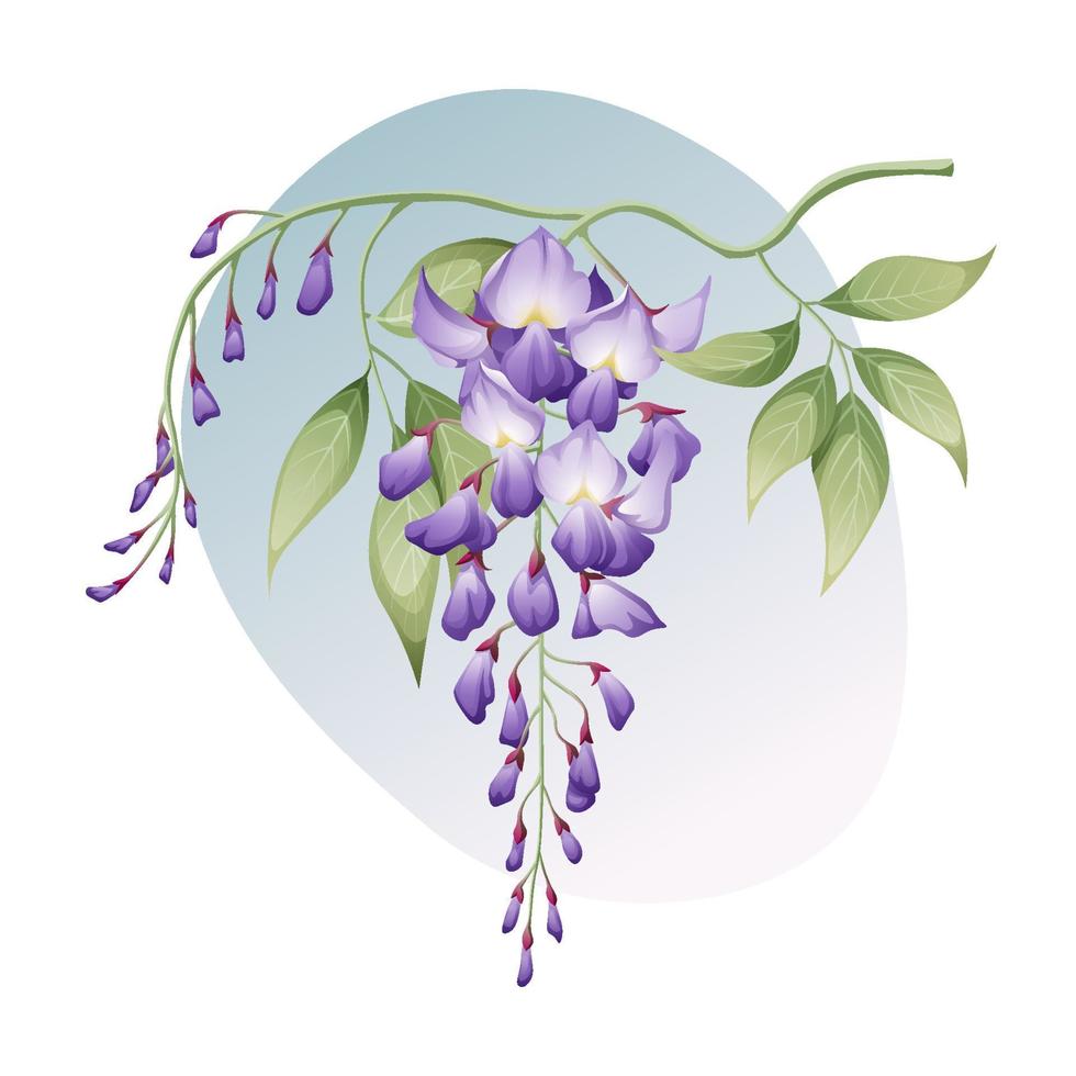 blauweregen met bladeren Aan een wit achtergrond. bloemen illustratie. Super goed voor stickers, kleding ontwerp, dekt, enz. vector