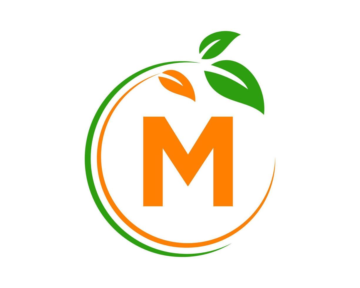 brief m eco logo concept met blad symbool vector