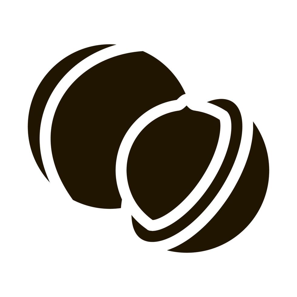 macadamia noot icoon vector glyph illustratie