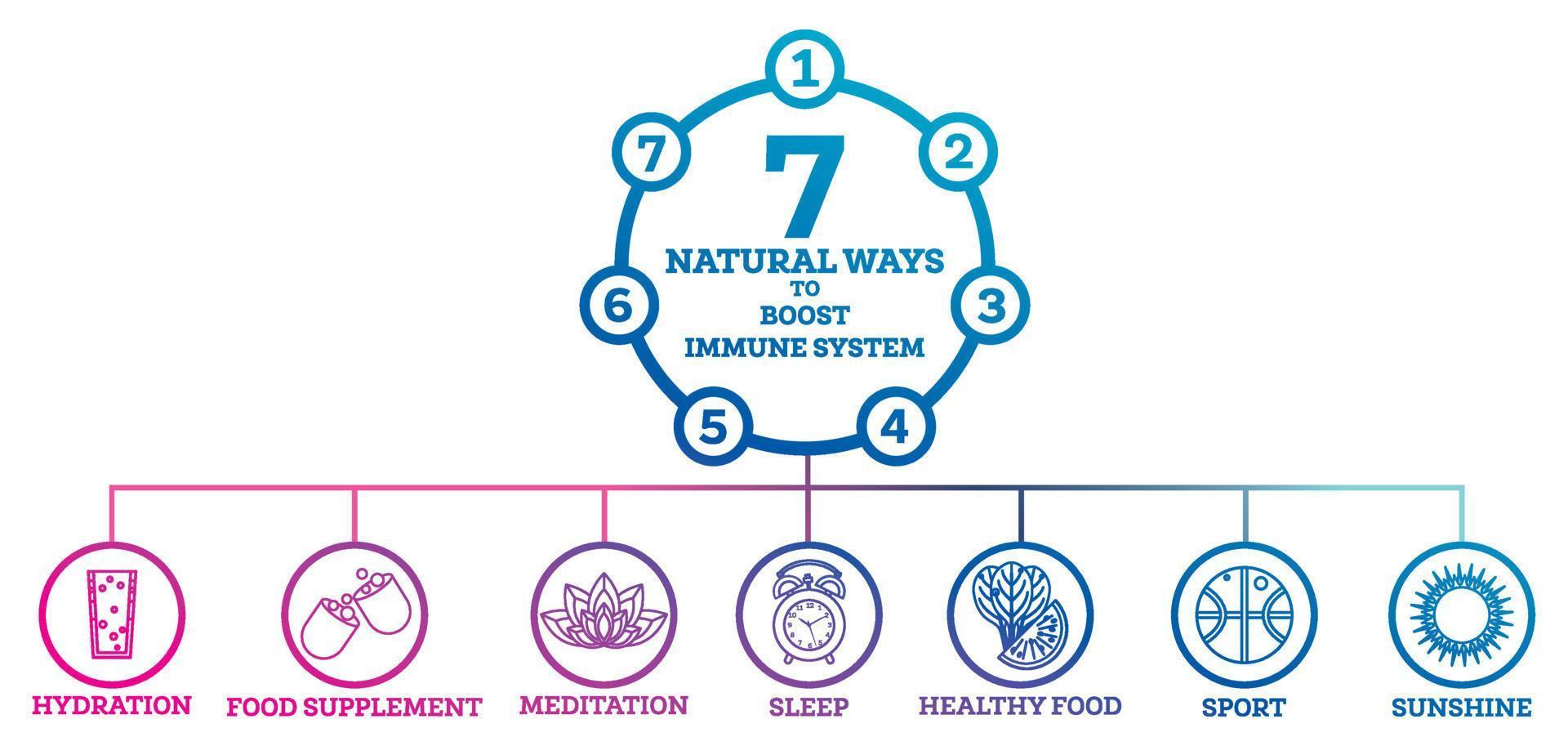 hoe naar boost uw immuun systeem. infographic elementen geïsoleerd Aan wit. vector