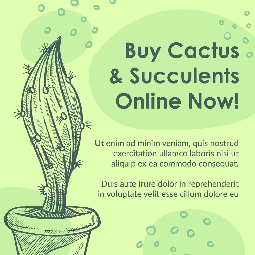 kopen cactus en vetplanten online nu promo banier vector