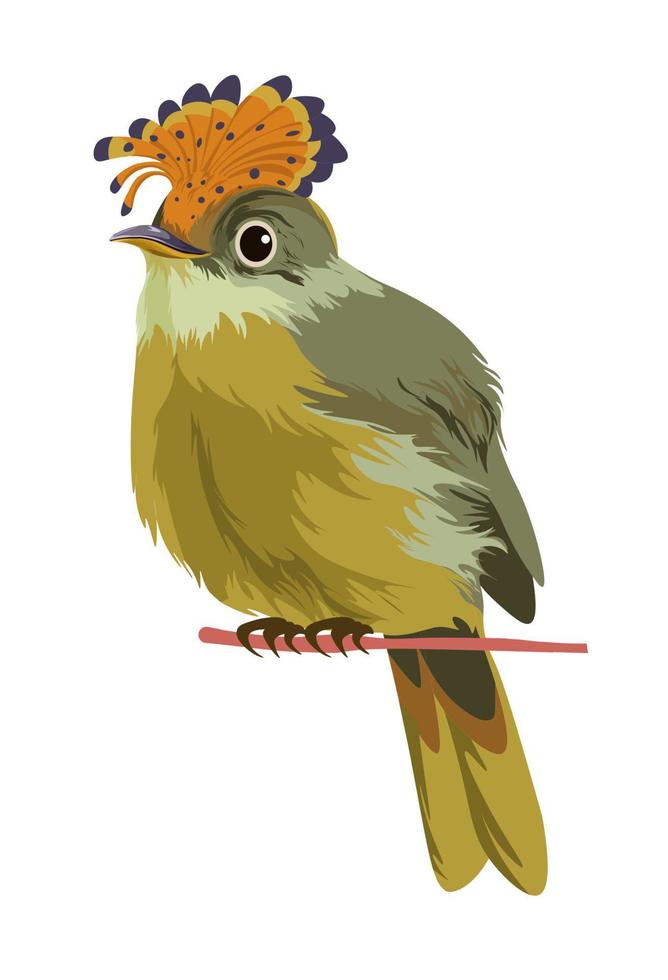 exotisch vogel dier, tropisch vogel portret vector