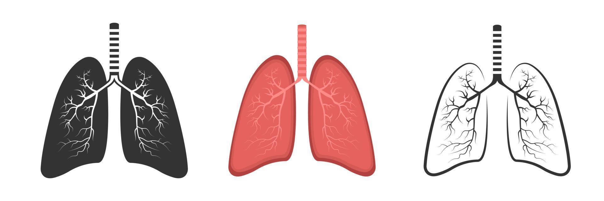 realistisch long anatomie. long icoon set. ademhalings systeem gezond long vlak medisch orgaan. geïsoleerd vector illustratie.