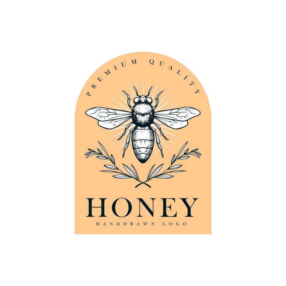 hand- getrokken honing logo vector