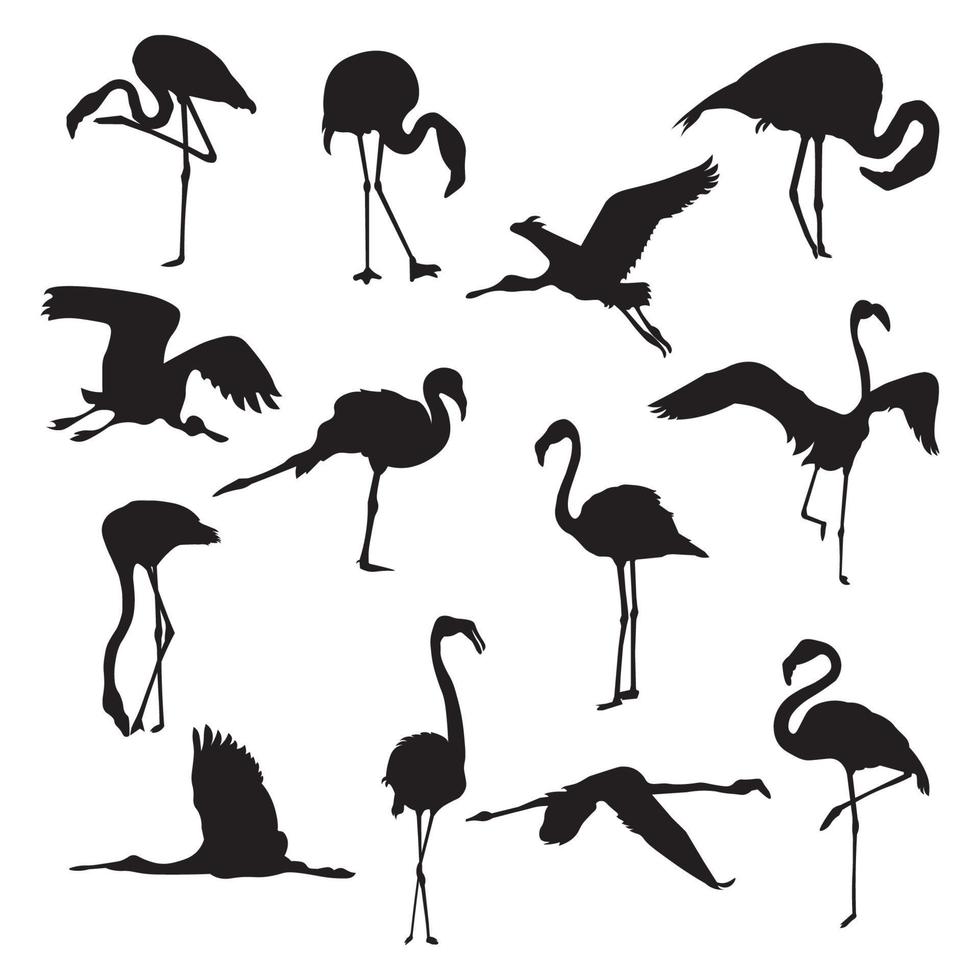 reeks van flamingo dier silhouetten divers stijlen vector