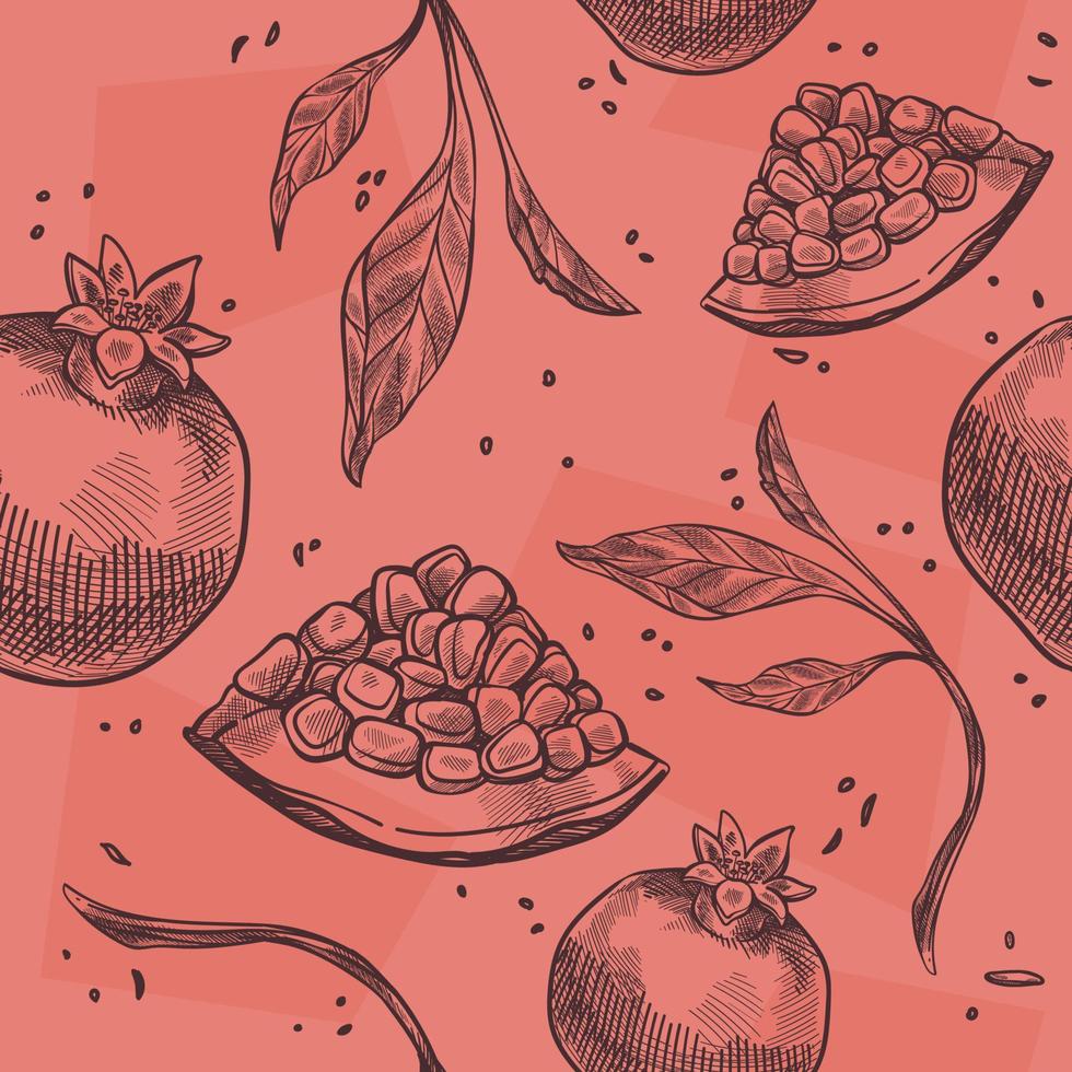 rijp granaatappel en takken met bladeren vector