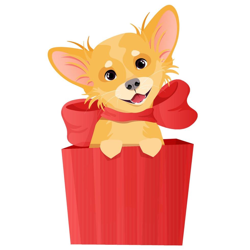 weinig schattig chihuahua hond zit in een rood geschenk doos vector