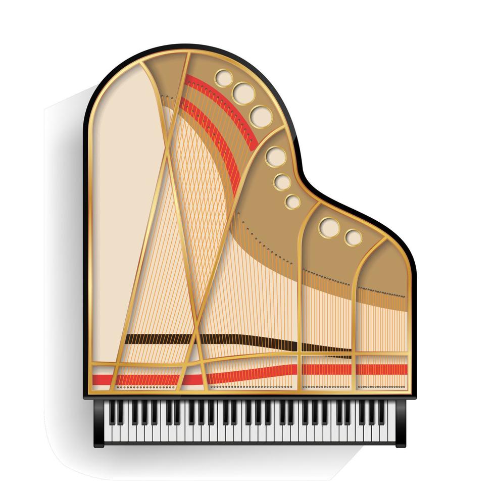 groots piano geopend vector. realistisch zwart groots piano top visie. geïsoleerd illustratie. musical instrument. vector