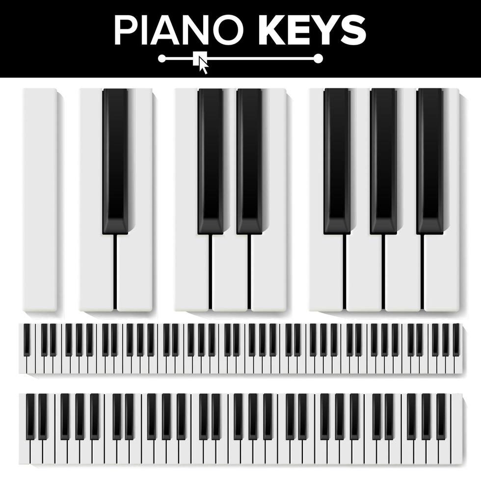 piano toetsenbord vector. realistisch geïsoleerd illustratie. musical piano sleutel top visie. toetsenbord stootkussen vector