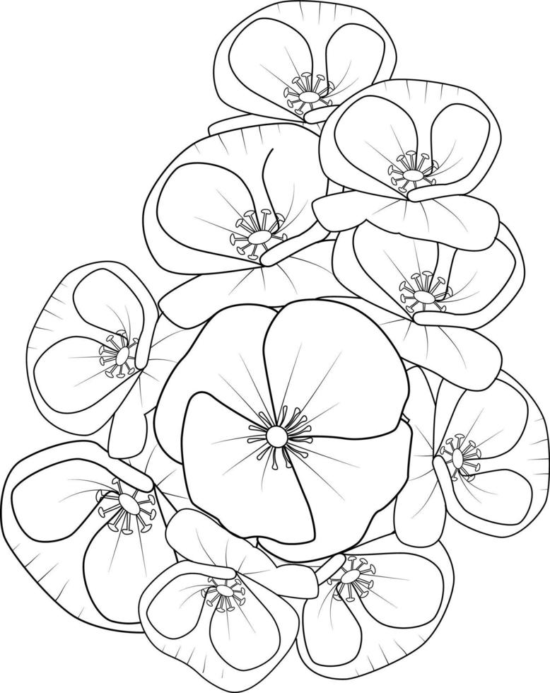 papaver bloemen kleur boek voor kinderen hand- getrokken planten bloeien natuur inkt gravure, monochroom hand getekend vector bloemen patroon, schetsen illustratie met bloemen.