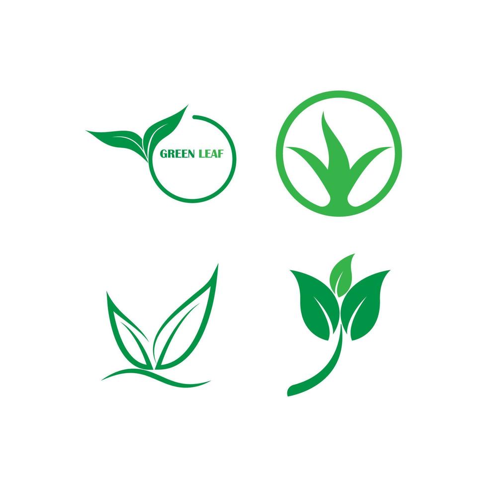 groen blad logo vector