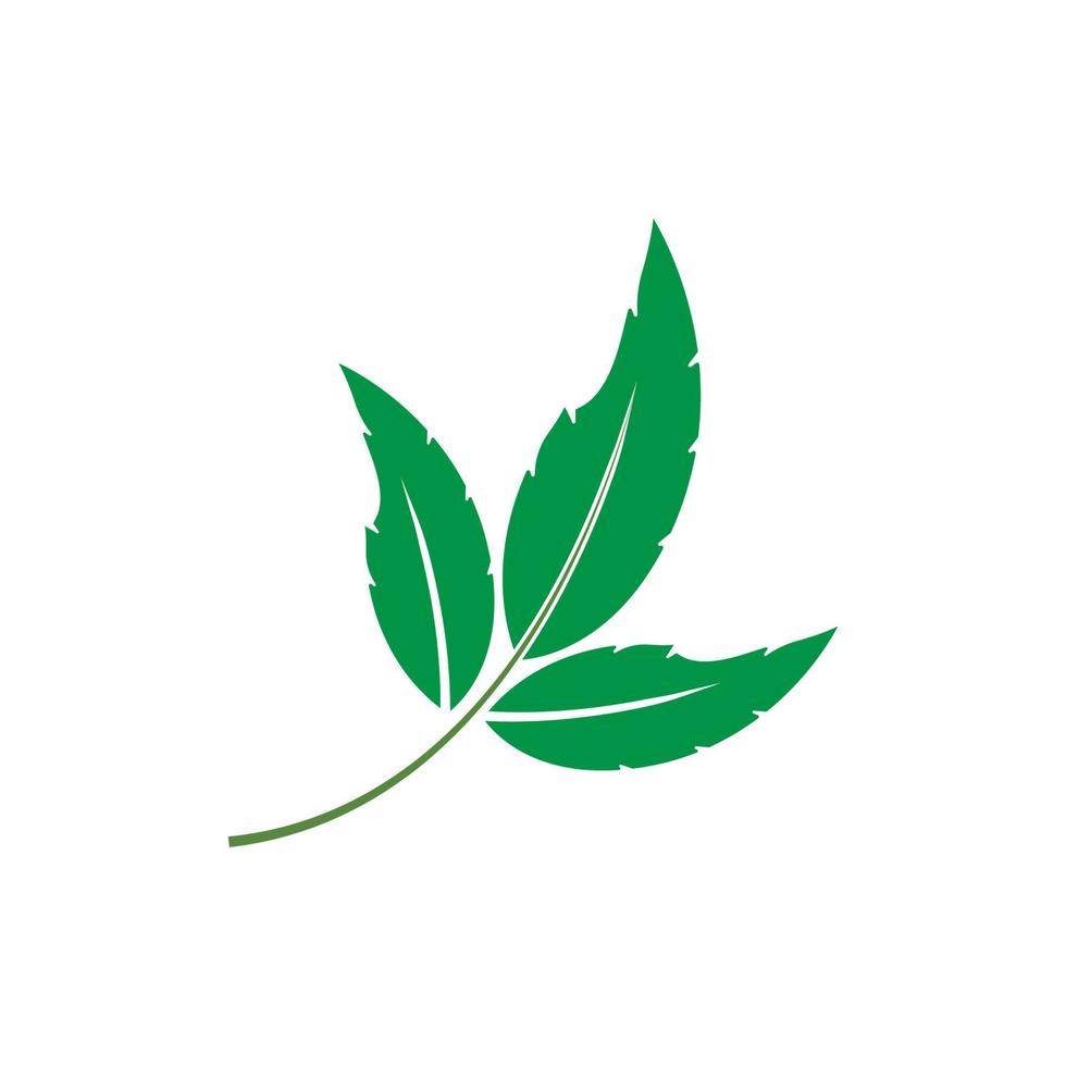 groen blad logo vector