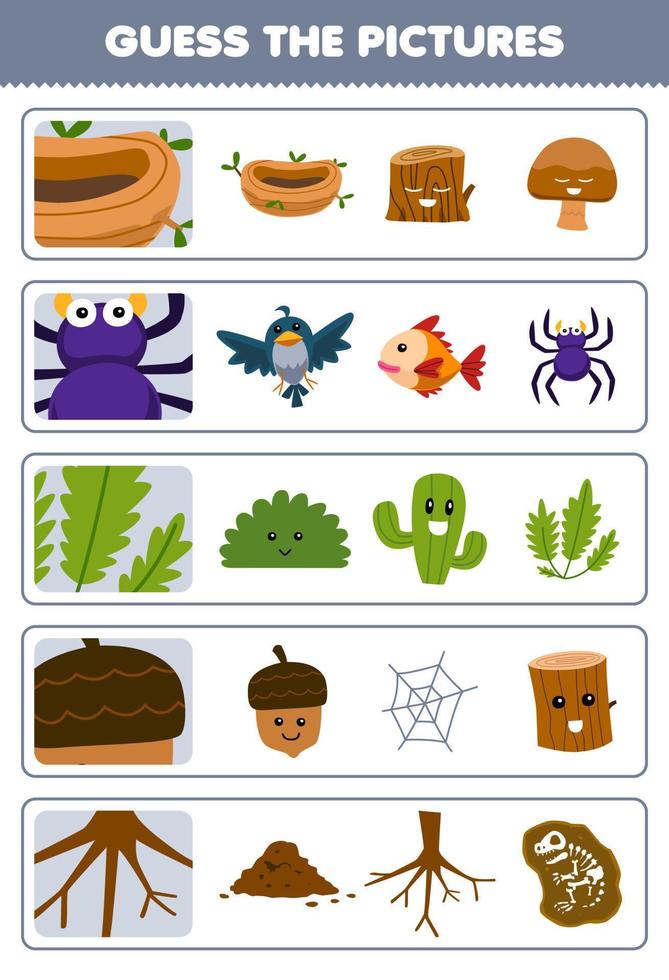 onderwijs spel voor kinderen Raad eens de correct afbeeldingen van schattig tekenfilm nest spin blad eikel- wortel afdrukbare natuur werkblad vector